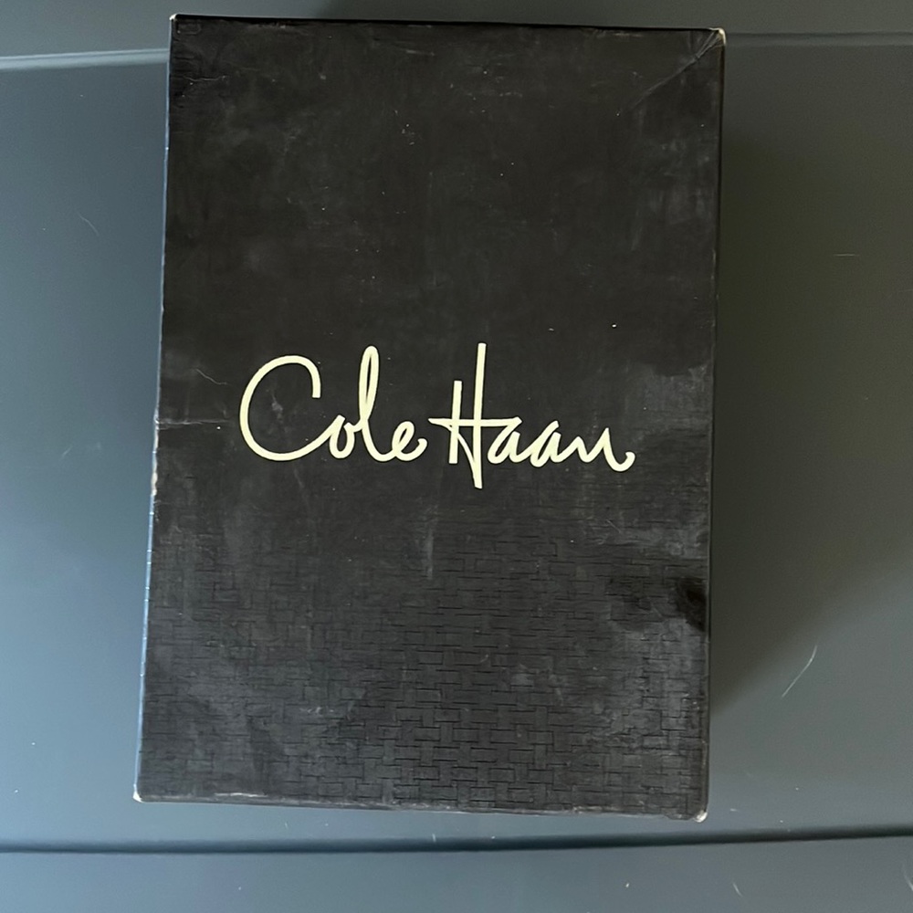 Cole Haan platform high heels with Nike Air comfort.